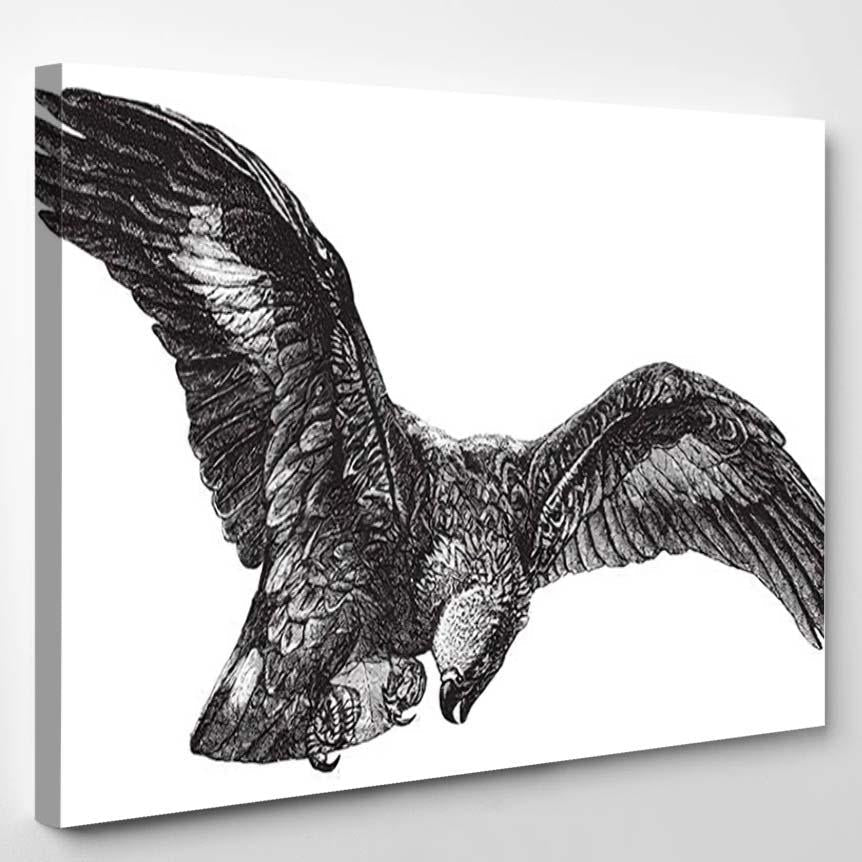 Ring Tailed Eagle Aquila Fulva Vintage – Eagle Animals Canvas Print