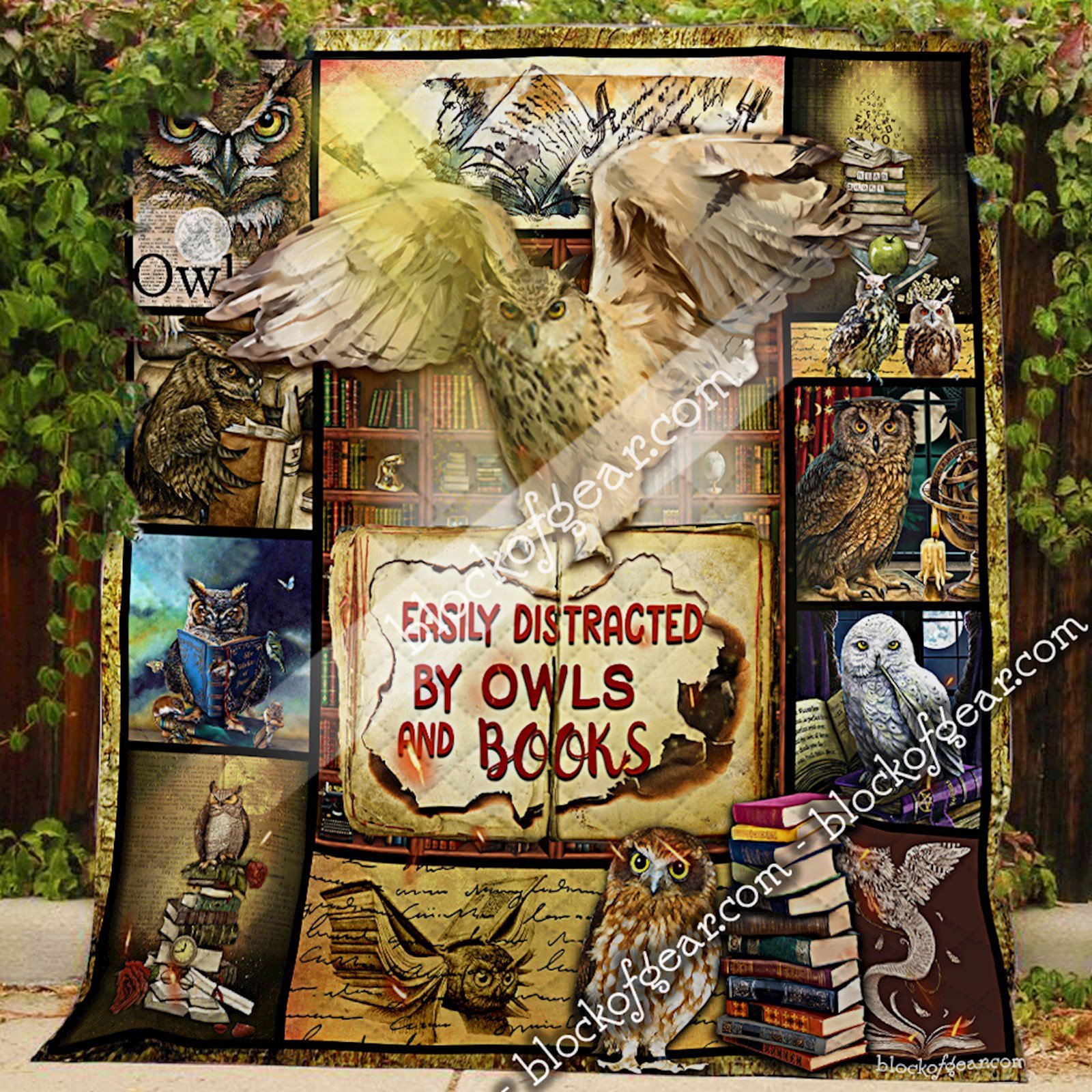 Easily Distracted By Owls And Books Quilt Dtt1602