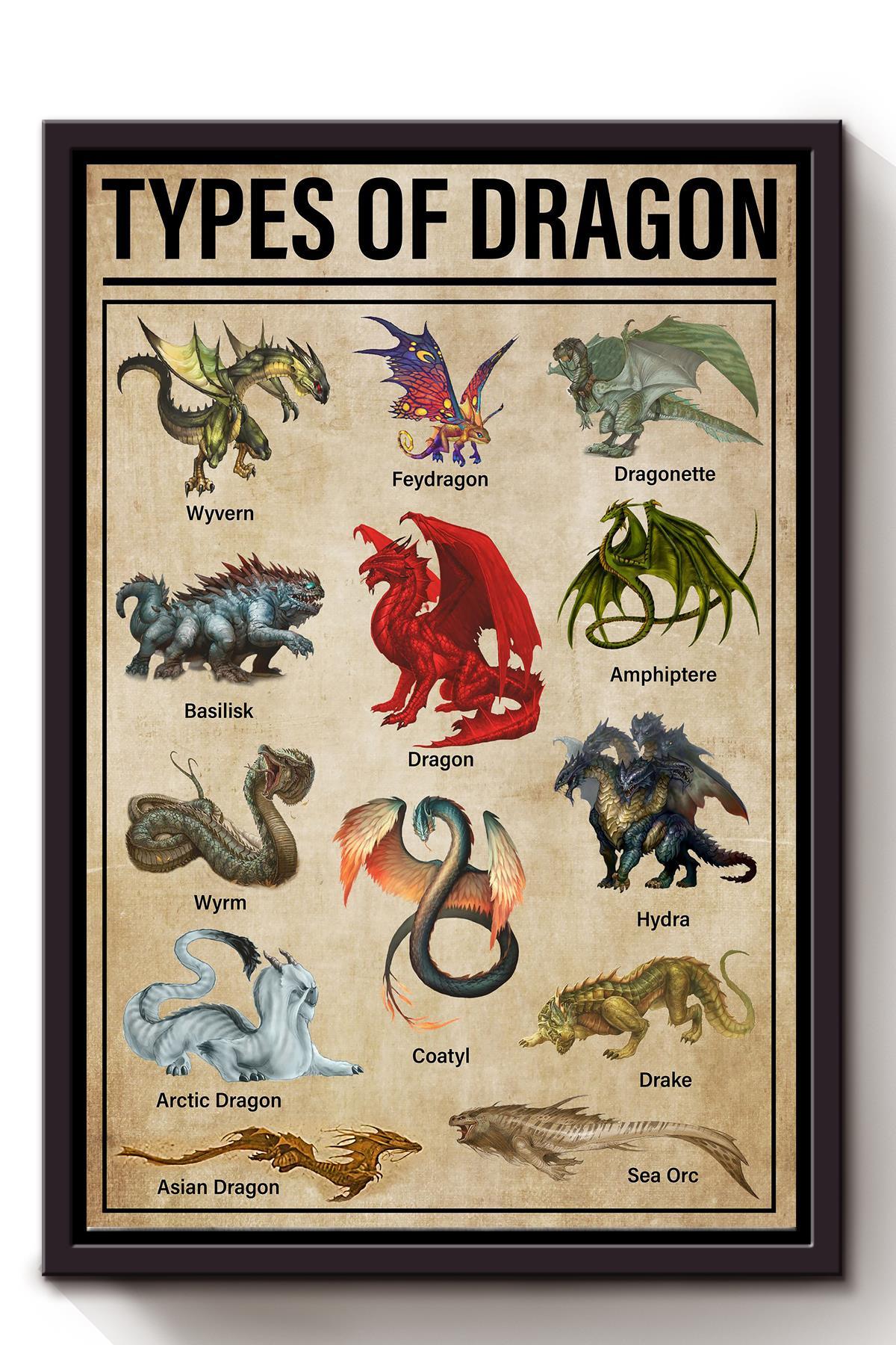 Types Of Dragon Animal Knowledge For Homeschool Nusery Kids Bedroom Decor Framed Canvas