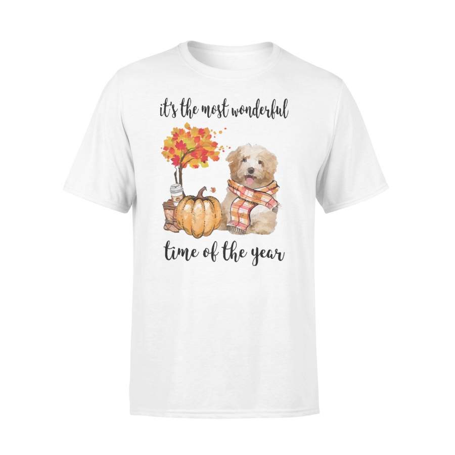 Fall Pumpkin It’s The Most Wonderful Time Of The Year Havanese T-Shirt