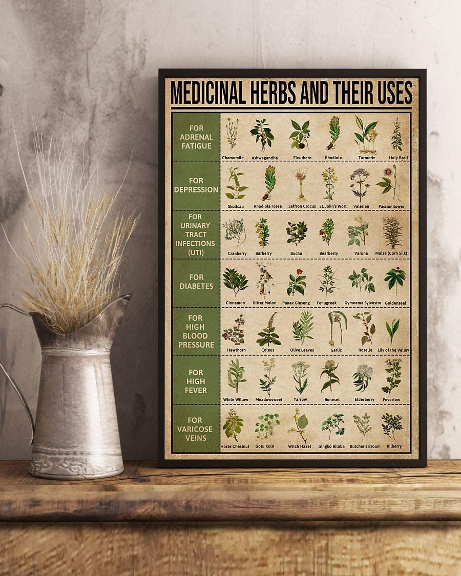 Medicinal Herbs And Their Uses Poster – Fitjiva Art Store