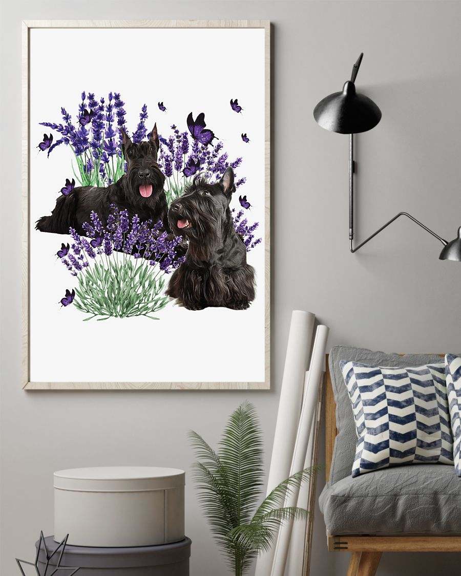 Scottish Terrier and lavender flower poster