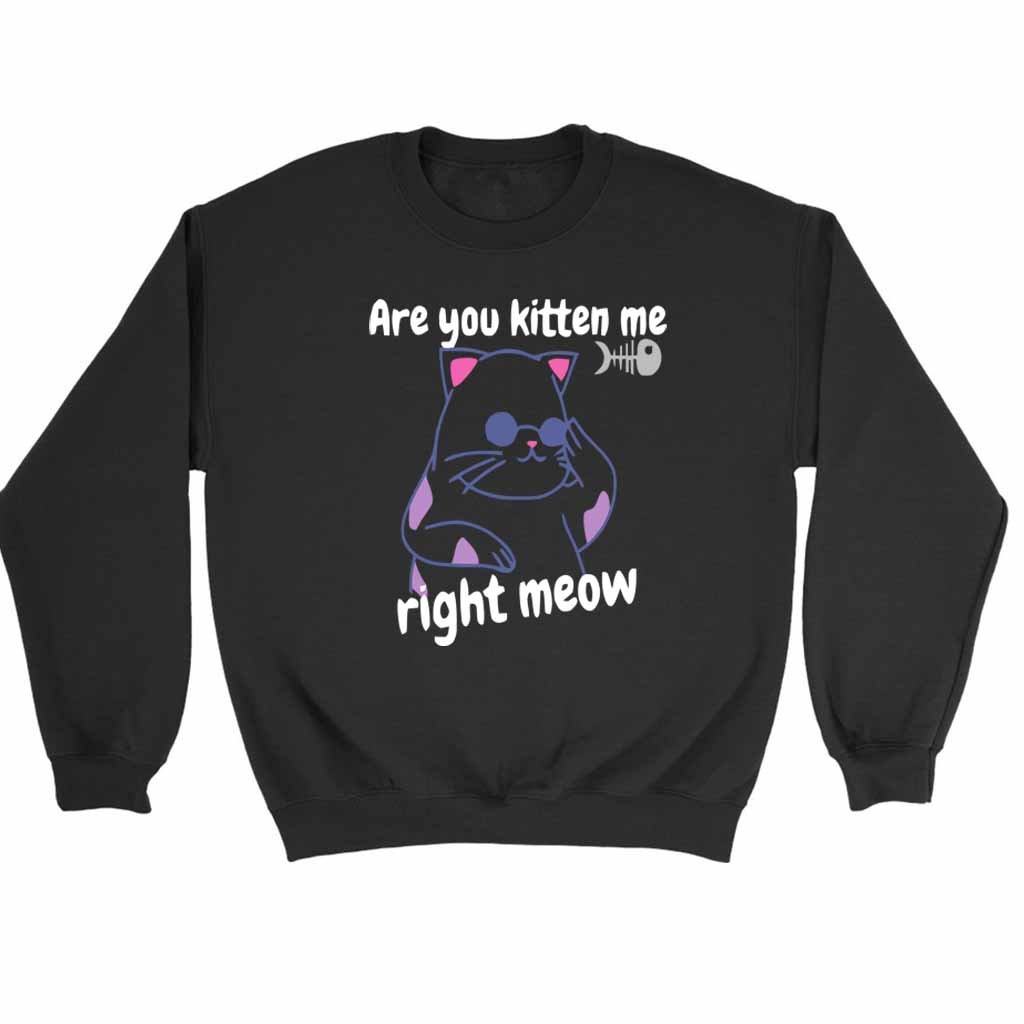 Are You Kitten Me Right Meow Join Sweatshirt Sweater