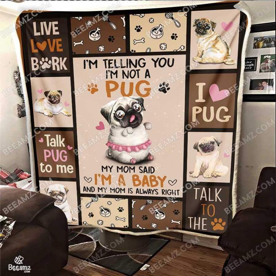 Baby Pug Funny Personalized Blanket – Puppy Pug Sherpa Blanket Sofa Bed Throw Blanket – PU13G