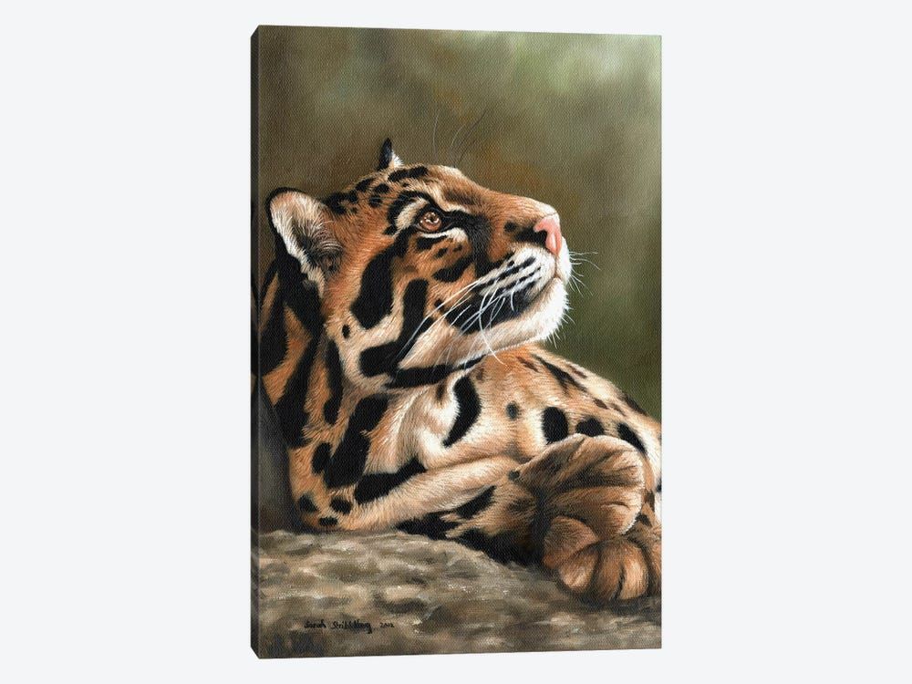 Clouded Leopard I Canvas Poster 8″x12″ 12×18″ 18″x26″ 24″x36″ 30″x45″