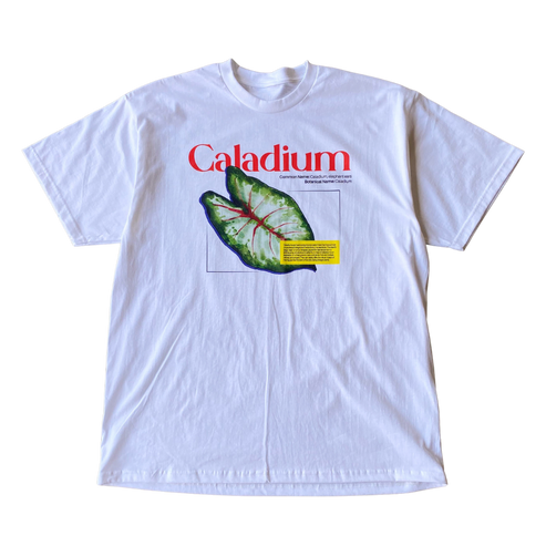 Caladium Tee Shirt Outfit  For Men  For Women