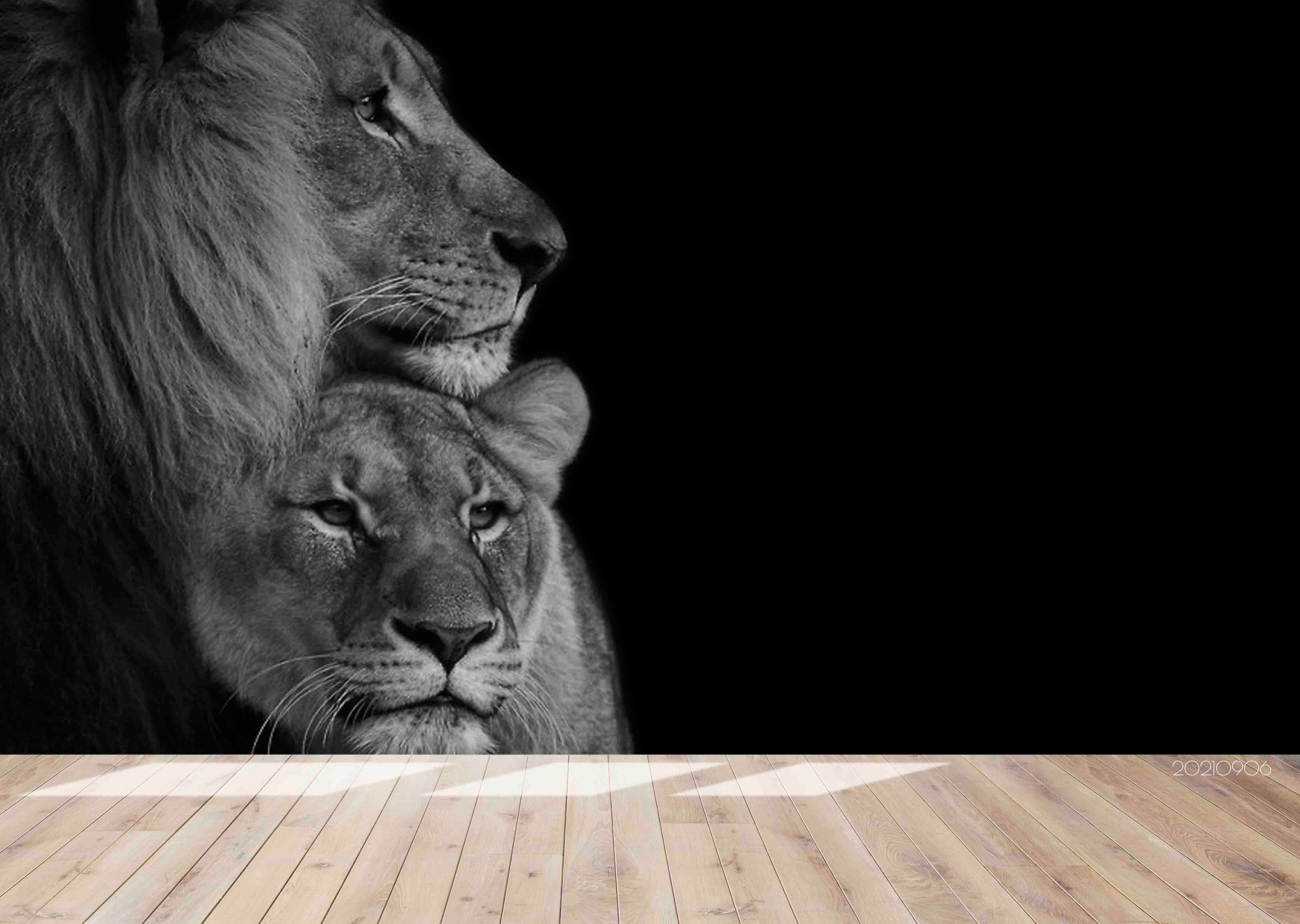 3D Animal Black Lion Wall Mural Wallpaper Lqh 522