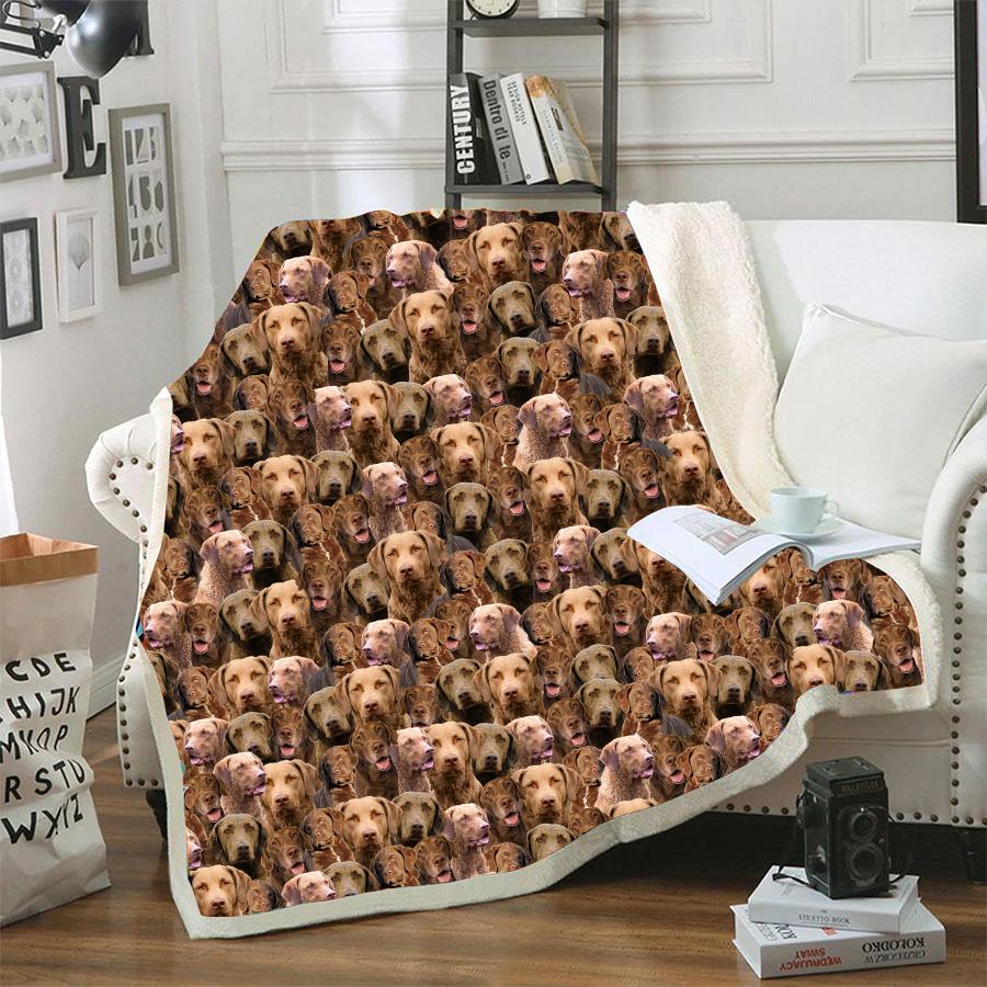 Chesapeake Bay Retriever A Bunch Of Dogs Dog Blanket Design Dog Face