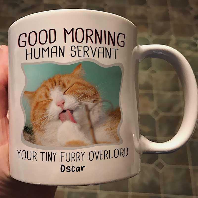 Good Morning Human Servant Dog Cat Photo Personalized Mug