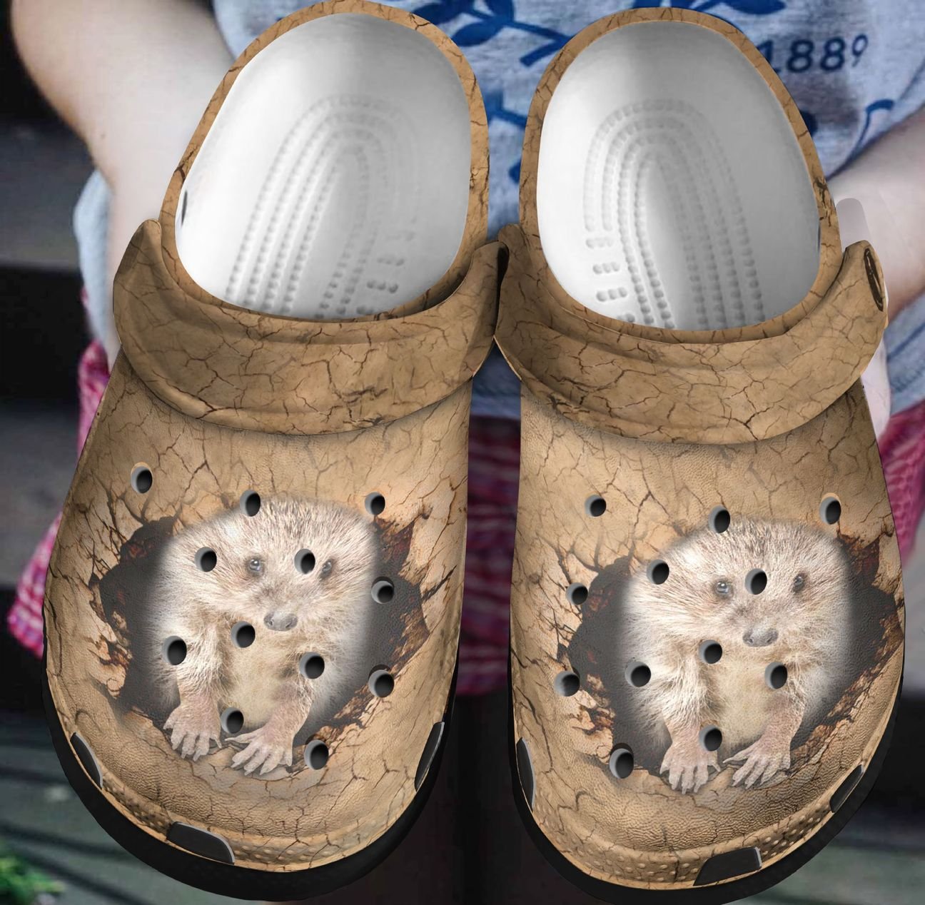 Hedgehog Personalized Clog, Custom Name, Text, Color, Number Fashion Style For Women, Men, Kid, Print 3D Amazing Hedgehog