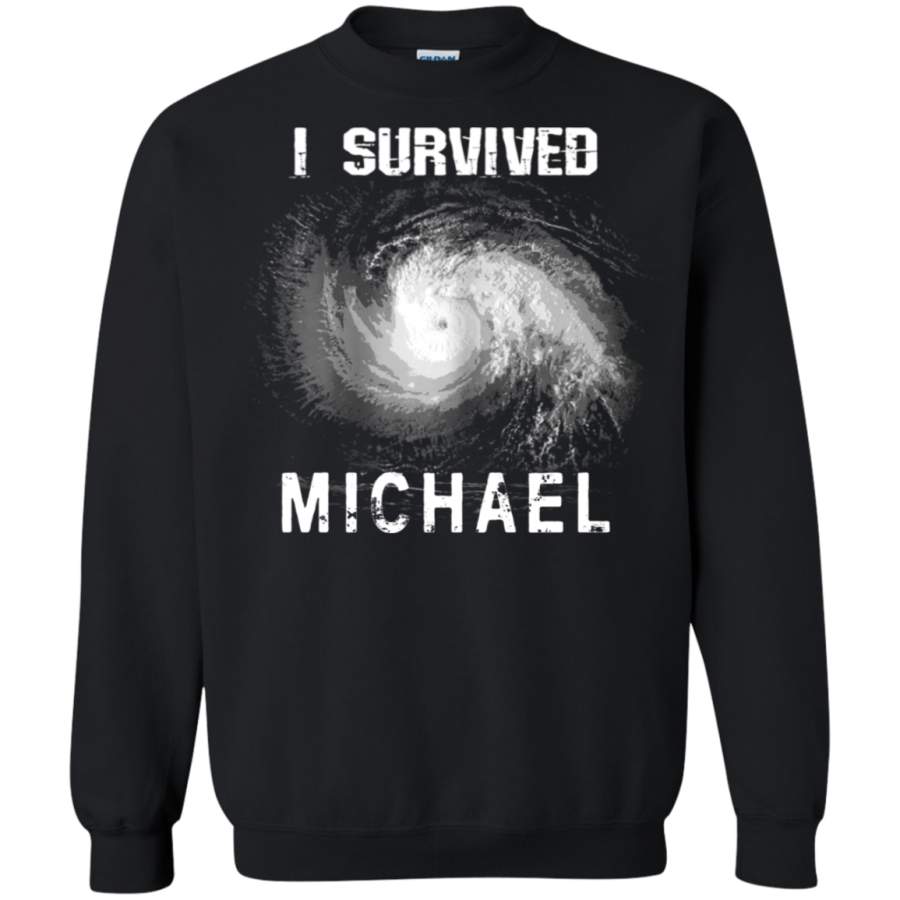 AGR I Survived Hurricane Michael Sweatshirt