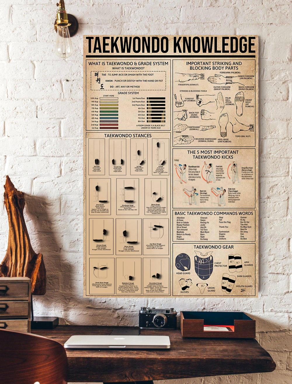 Taekwondo Knowledge Poster