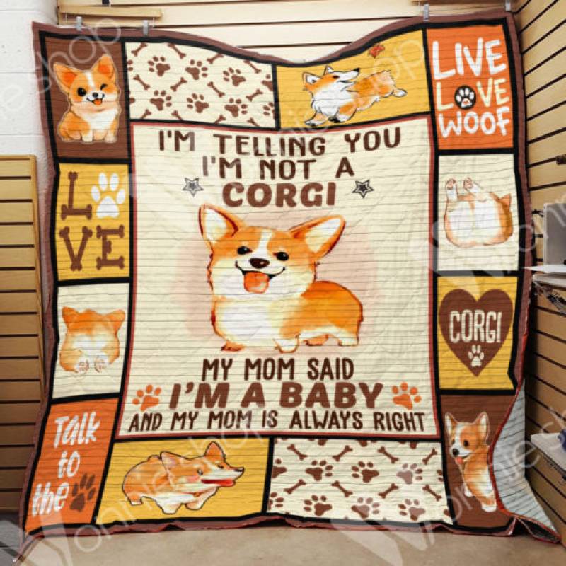 Corgi Dog Blanket NOV2902 69O56