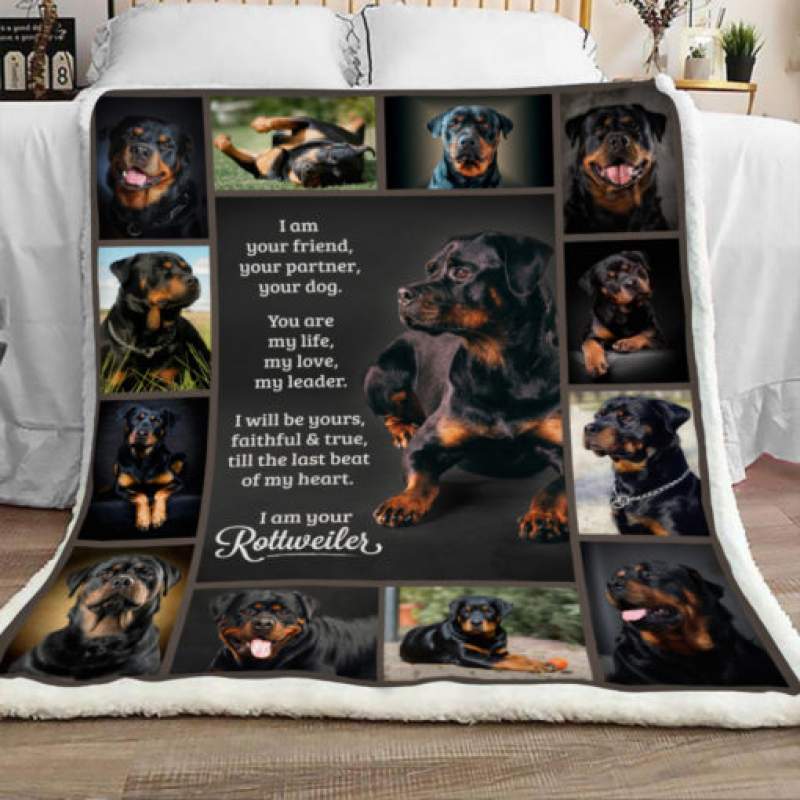 Rottweiler Dog Sherpa Blanket JR2201 90O47