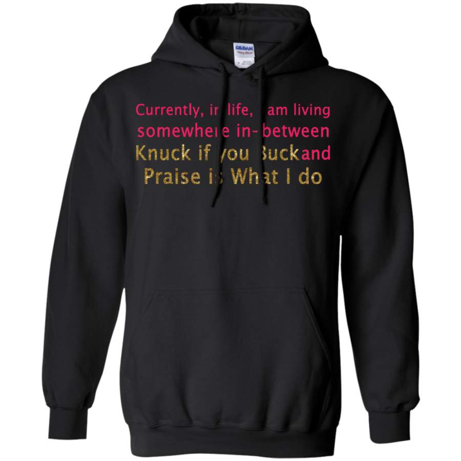 AGR Currently in life i am living somewhere in-between knuck if you buck Hoodie