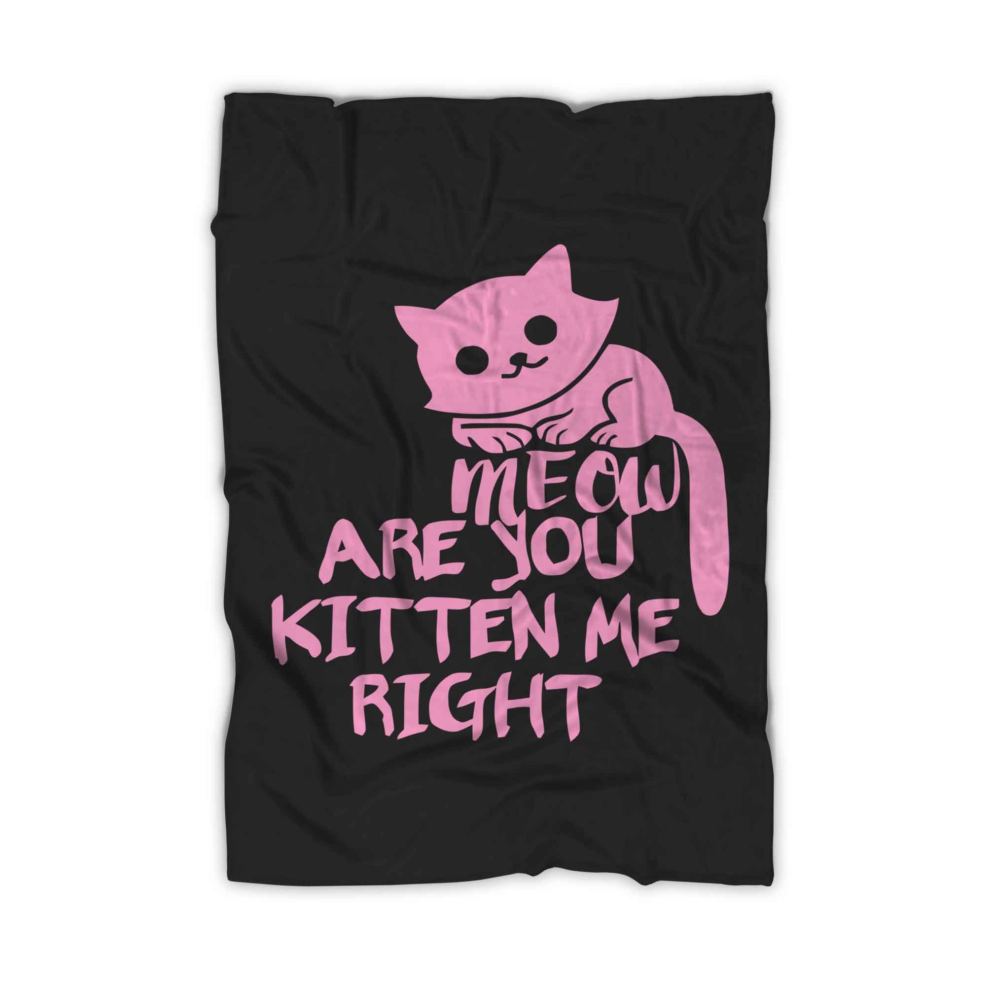 Are You Kitten Me Right Meow Four Blanket