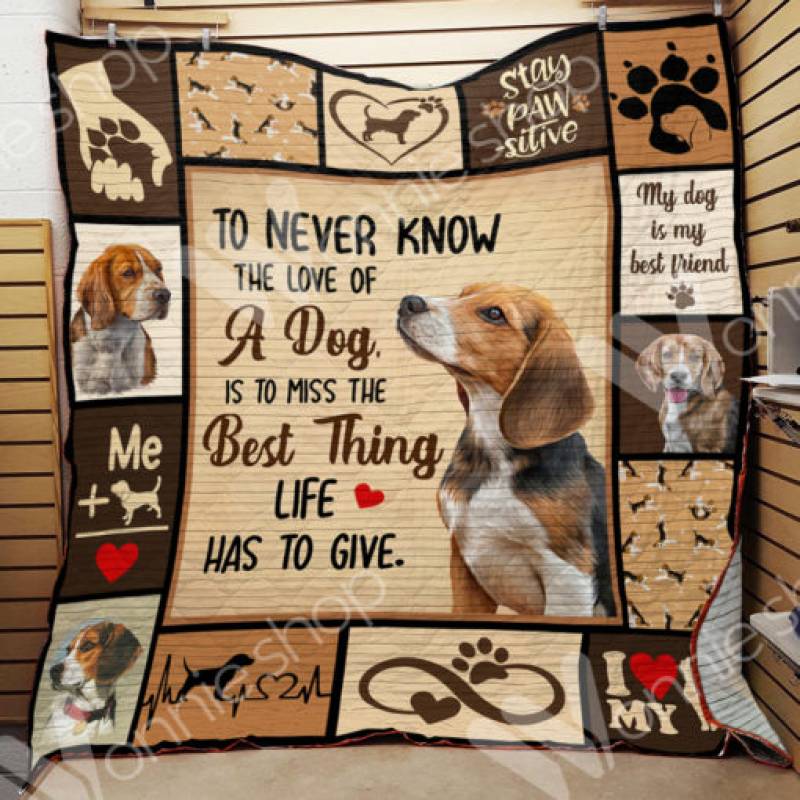 Beagle Dog Blanket OCT1601 85O34