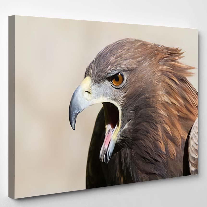 Screaming Golden Eagle Close – Eagle Animals Canvas Print