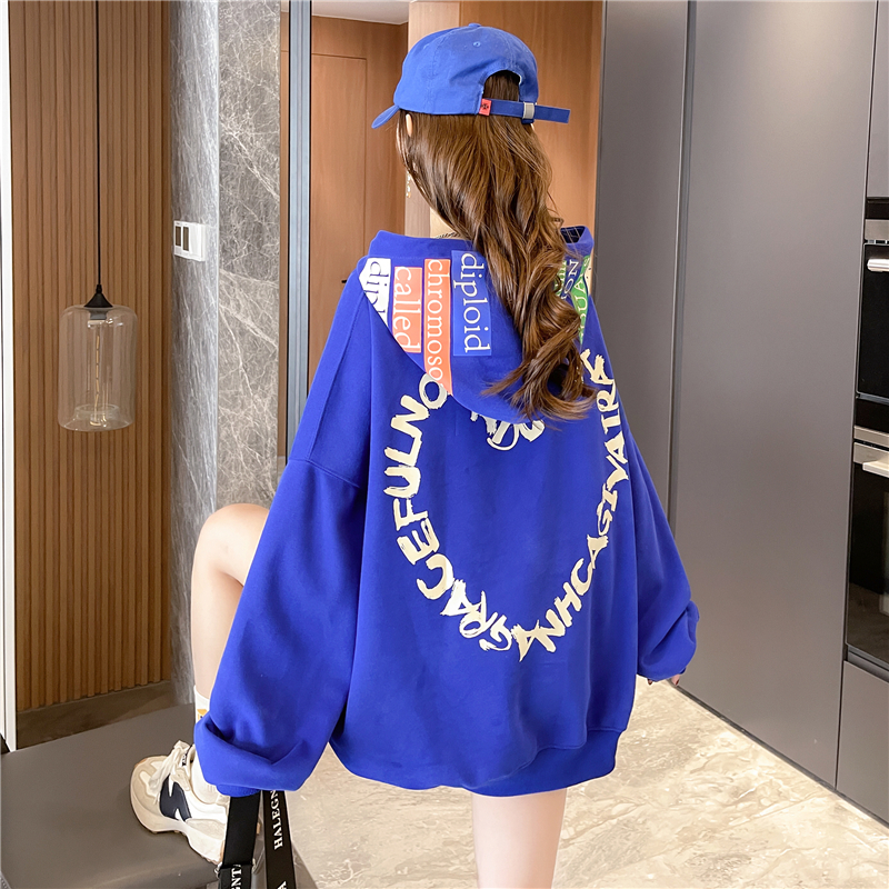 Women Hooded Sweatshirts Letter Printed Hoodies Women Harajuki Blue Hoodie Stylish Streetwear Korean Streetwear alx