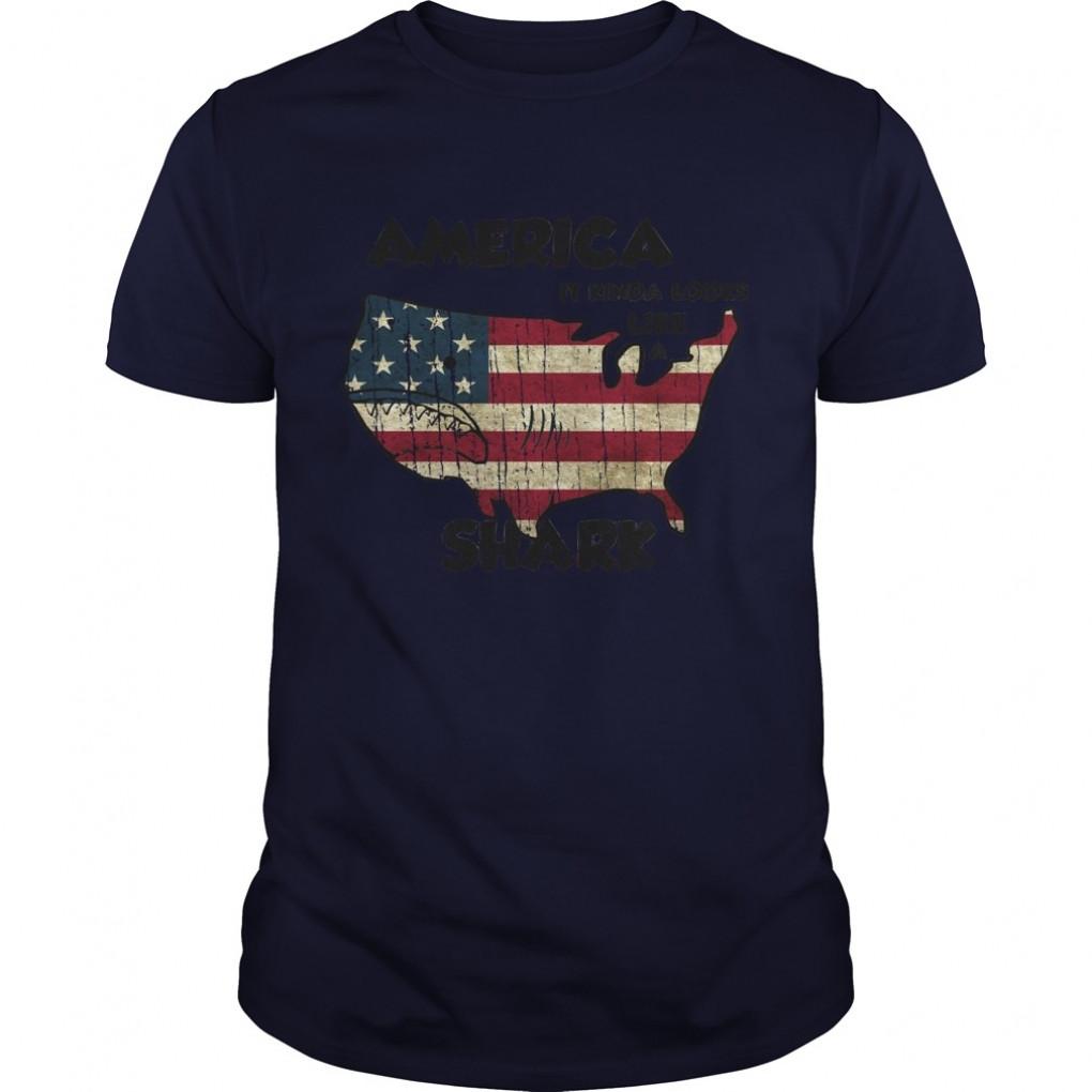 America It Kinda Looks Like A Shark tshirt Guys Tee 902911442