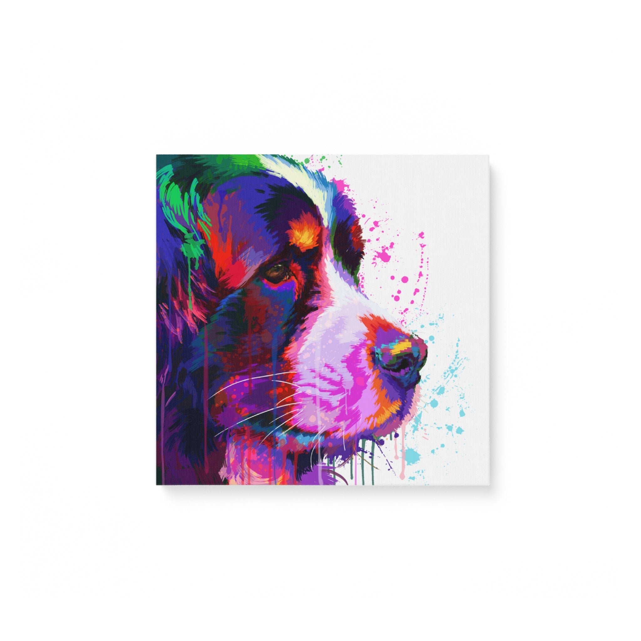 Bernese Mountain Face Canvas