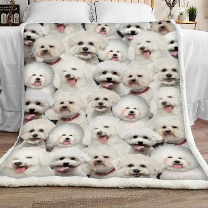 Bichon Frise Dog Sherpa Blanket JR2002 70O57