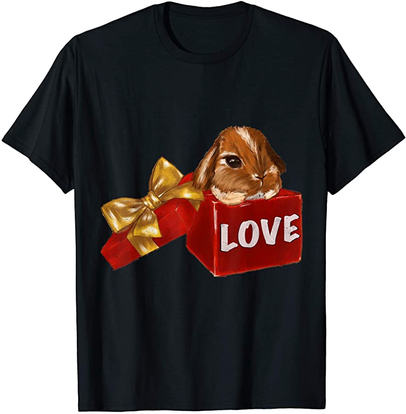 Bunny Rabbit Lover Valentine Gift – Bunny Valentine’s Day T-Shirt