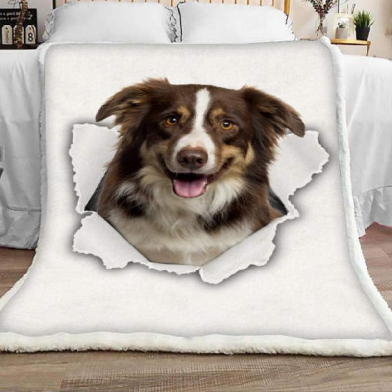 Border Collie Dog Sherpa Blanket JR1702 71O56