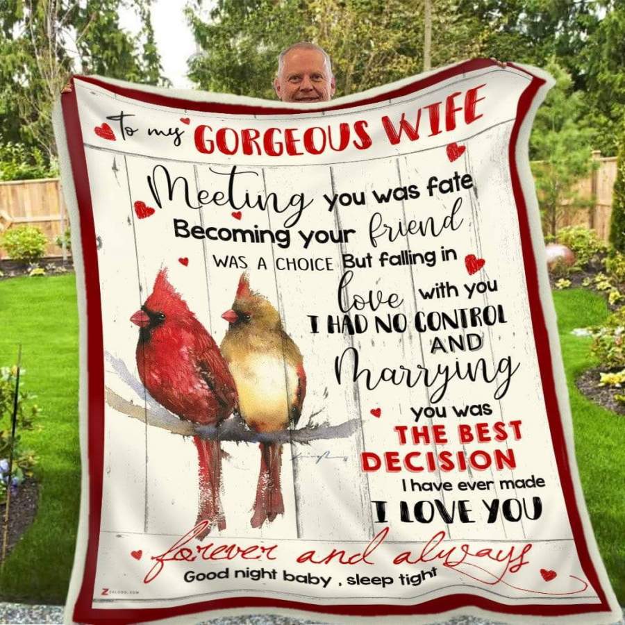 Cardinal Blanket Giving Gorgeous Wife Meeting You Was Fate