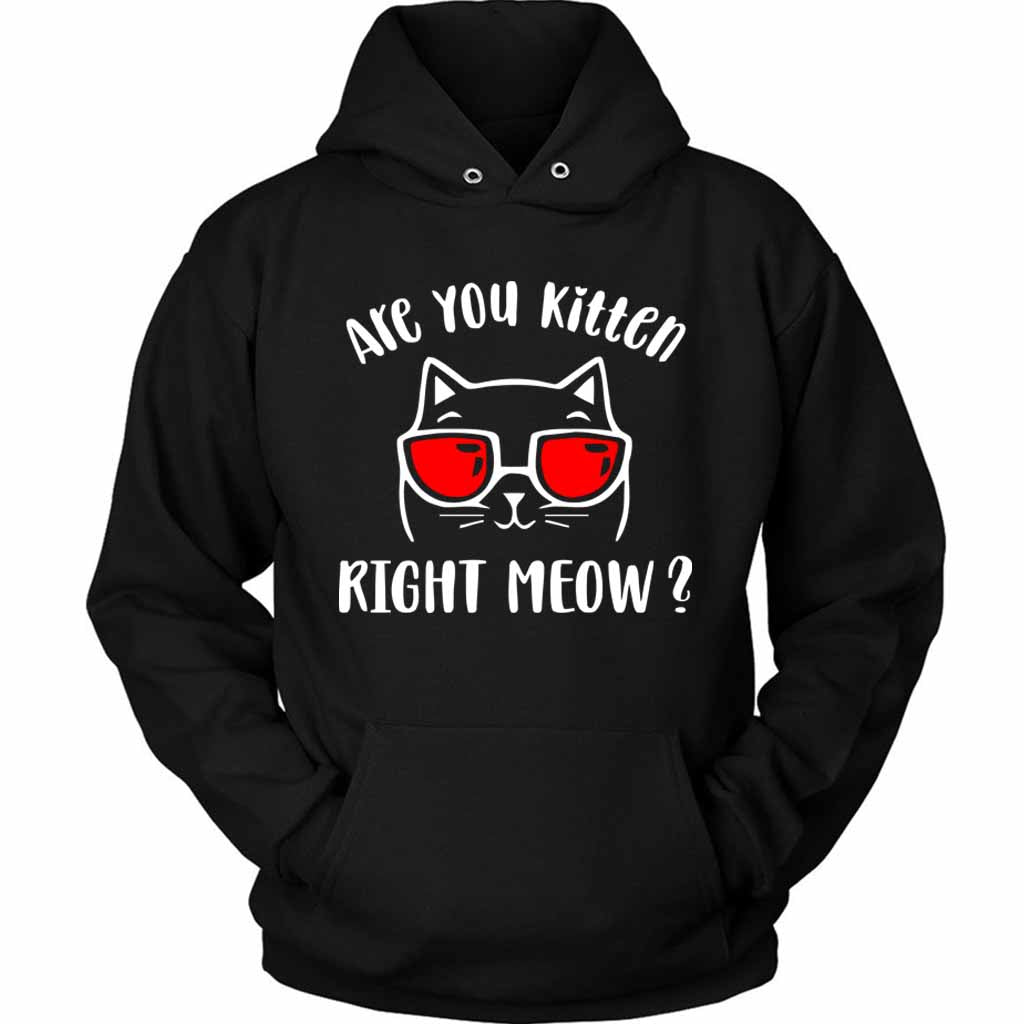 Are You Kitten Me Right Meow Cat Unisex Hoodie