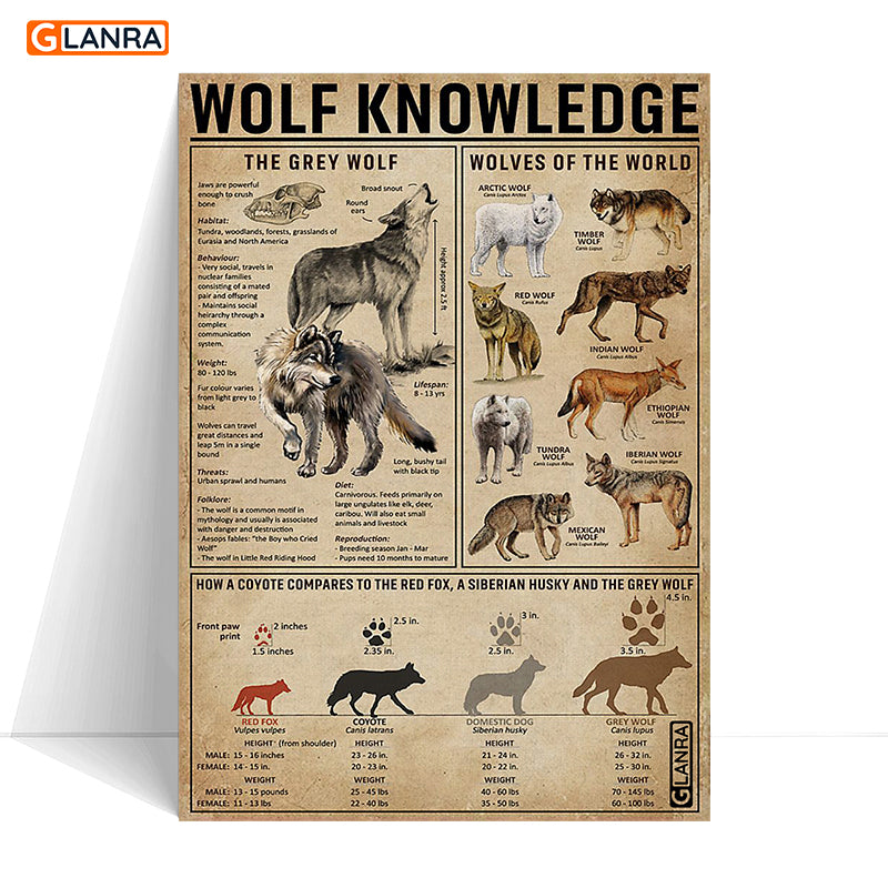 Wolf Knowledge Poster   Canvas  Wolf Poster   Canvas  Gift For Wolf Lovers  Animal Wild Lovers Gift  Anniversary Gift For Friend  Indoor Home Decor