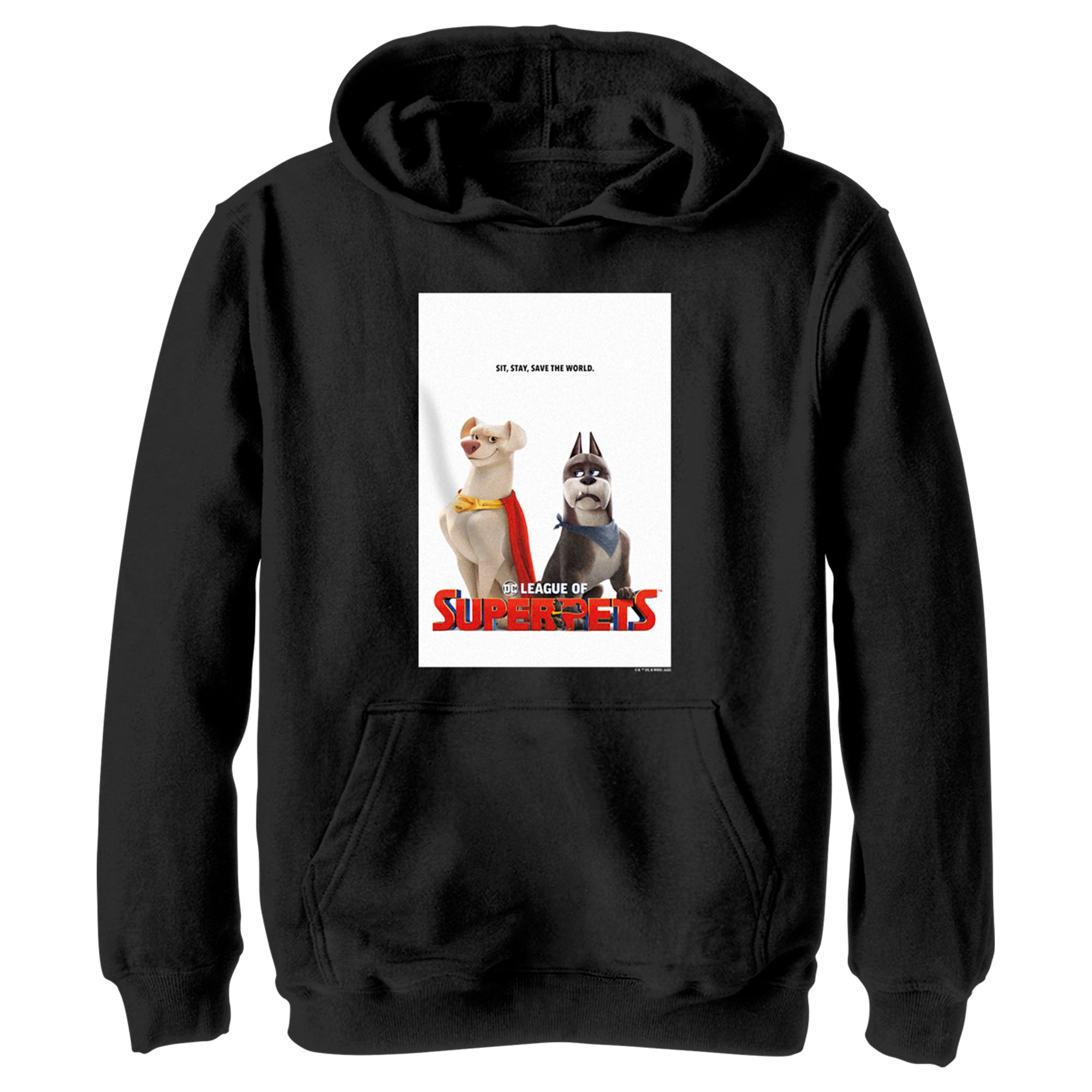 Boy’S Dc League Of Super-Pets Krypto And Ace Poster Pull Over Hoodie