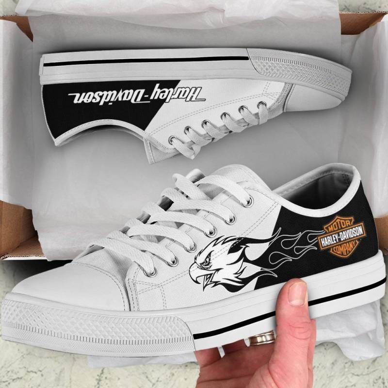 HD Low Top Canvas Shoes NS09091