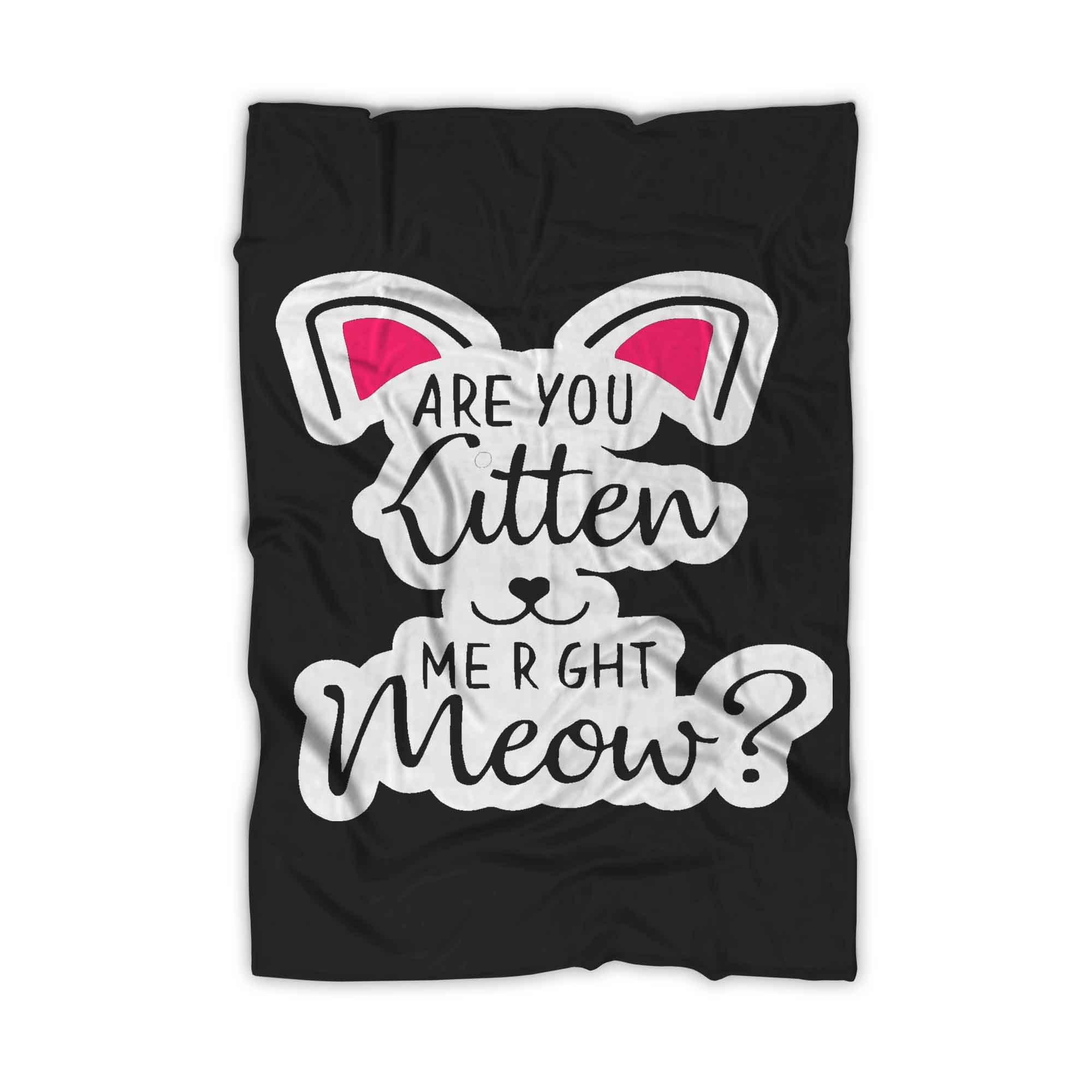 Are You Kitten Me Right Meow Kills Blanket