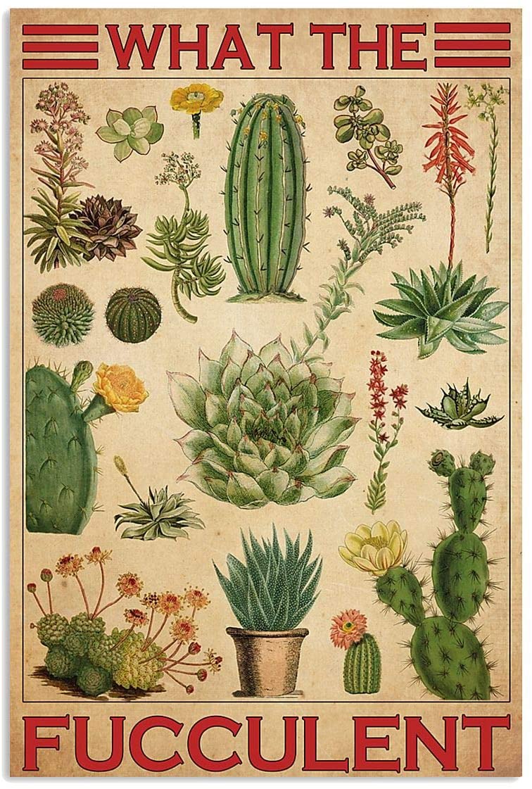 Vintage Cactus What The Fucculent Poster Art Print      Home Decor Gift For Men Women Family Friend On Birthday Xmas