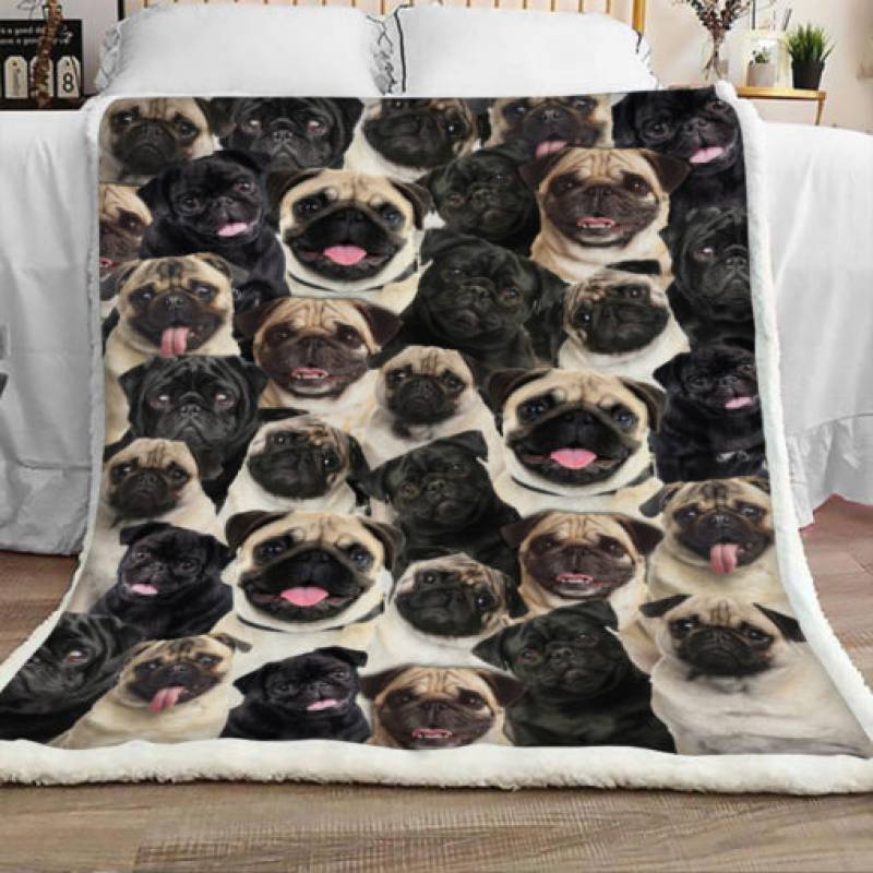 Pug Dog Sherpa Blanket JR1002 68O51