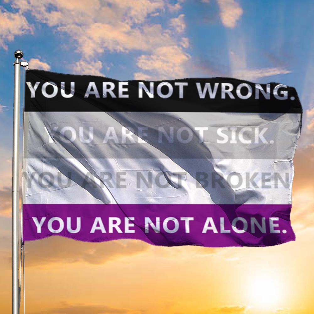 International Asexuality Day Flag You Are Not Wrong You Are Not Sick Asexual Shirt Lgbt Pride 