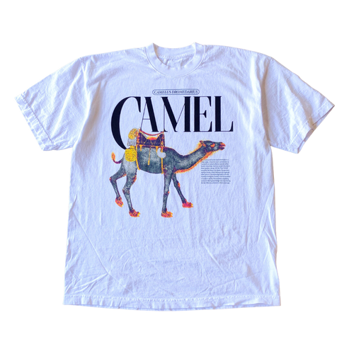 Camelus T shirt Outfit