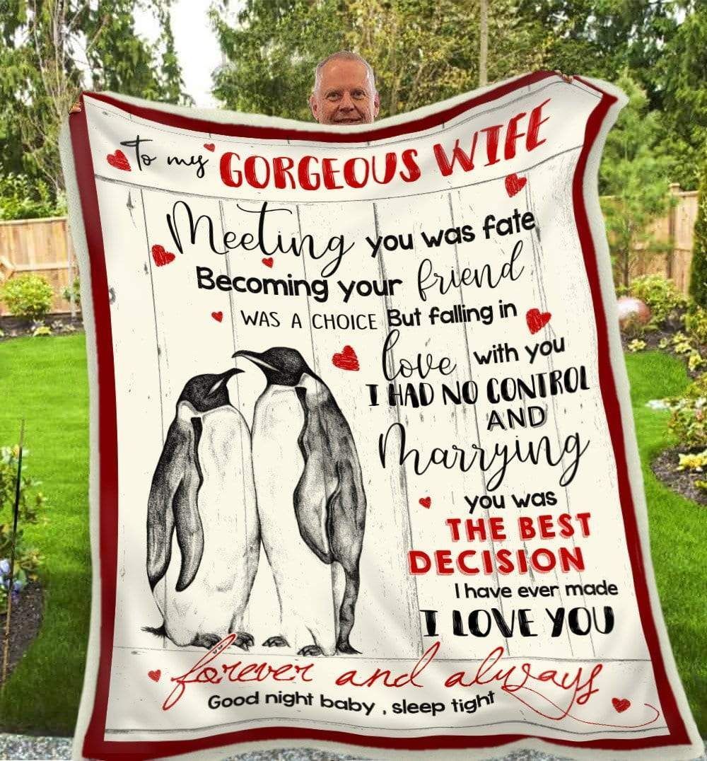 Blanket Penguin To My Wife Meeting You Was Fate