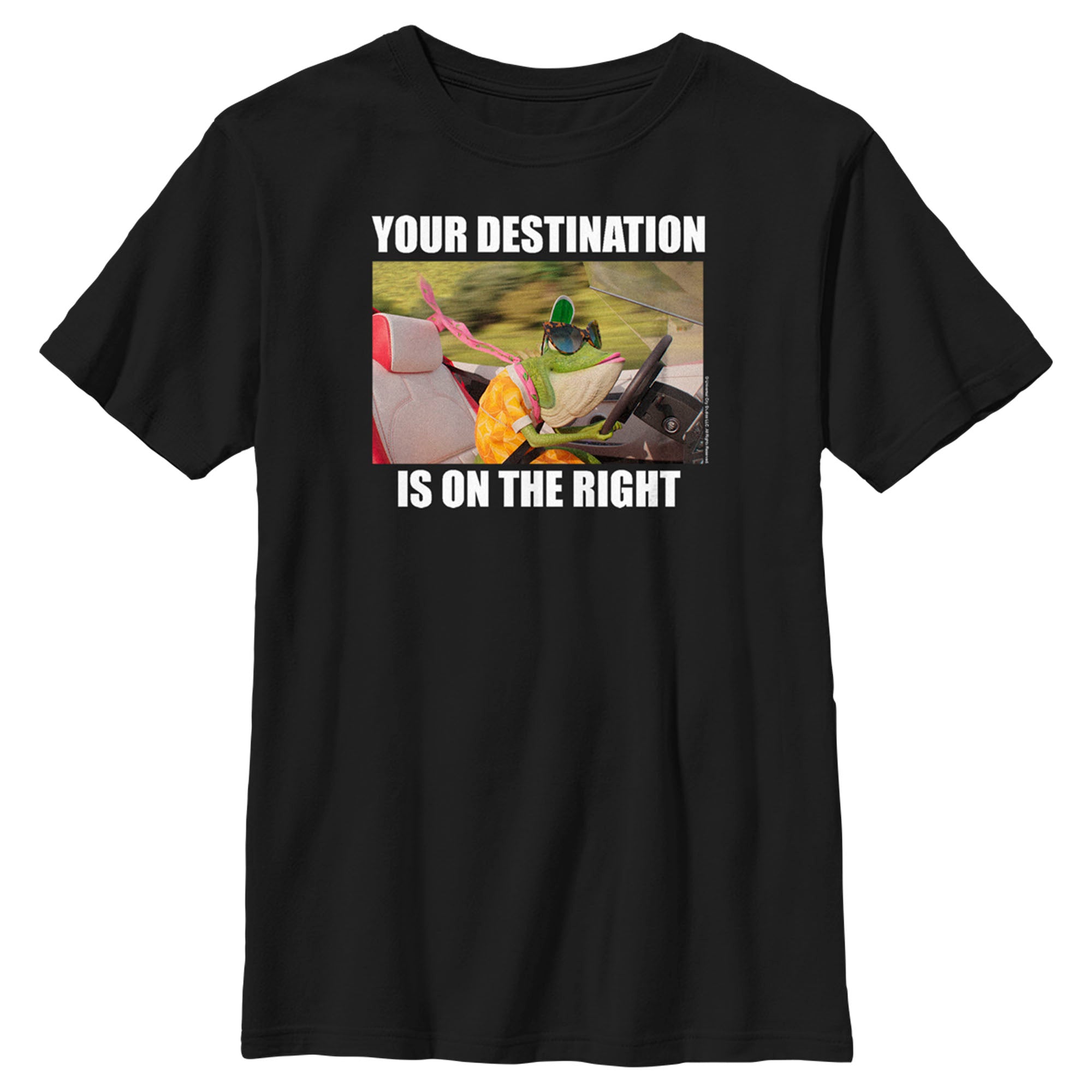 Boy’S Sing 2 Miss Crawly Your Destination Is On The Right T-Shirt