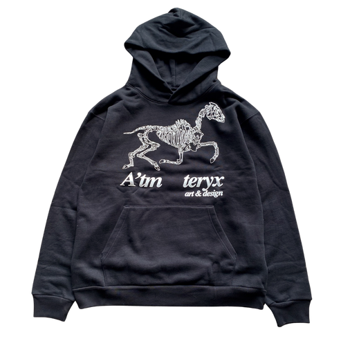 Atm   teryx Hoodie Outfit  For Men  For Women