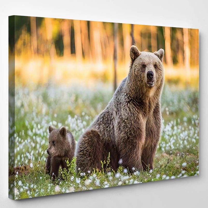 Shebear Bearcub Cub Adult Female Brown 2 – Bear Animals Canvas Print