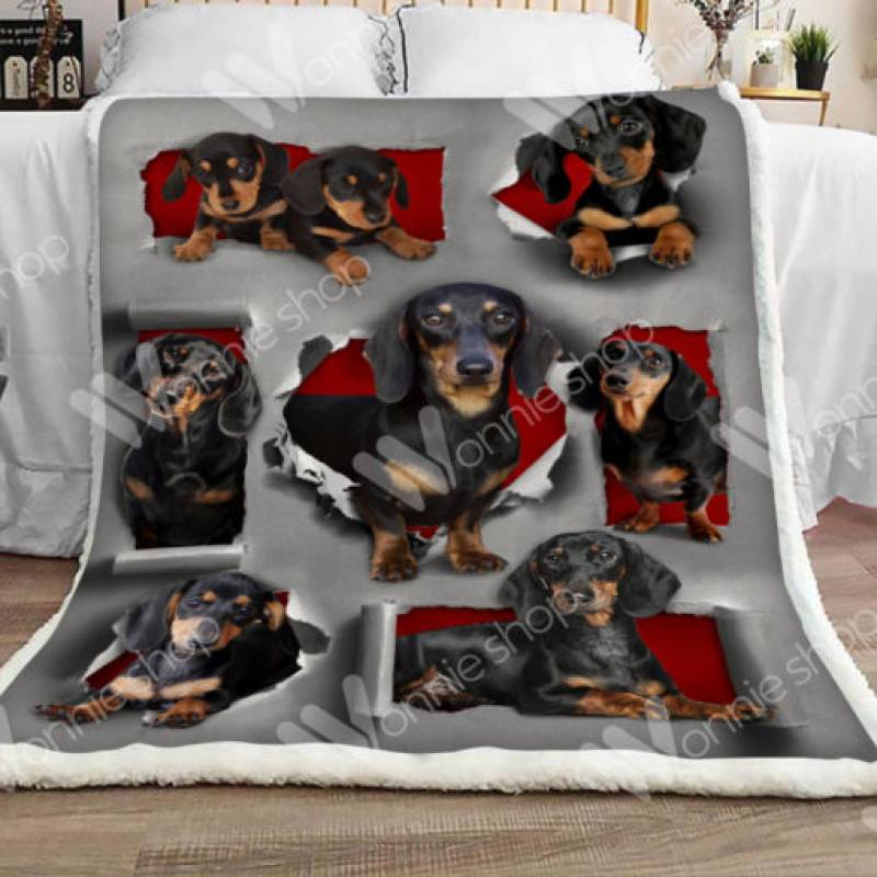 Dachshund Dog Sherpa Blanket DCB2301 81O60