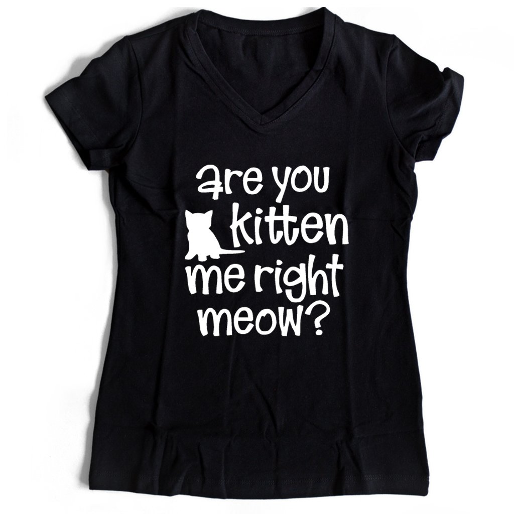 Are You Kitten Me Right Meow Onesie Women’s V-Neck Tee T-Shirt