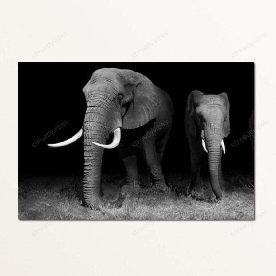 Black And White Elephants Canvas