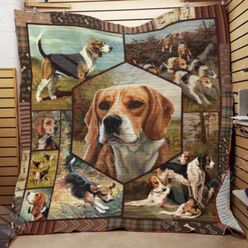 Beagle Dog Blanket DCB1001 67O43