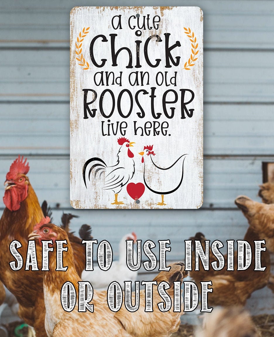 Chicken Coop Sign – A Cute Chick and an Old Rooster Live Here – Available in 8″x12″ & 12″x18″ Metal Sign – Funny Chicken Farm Decor and Gift