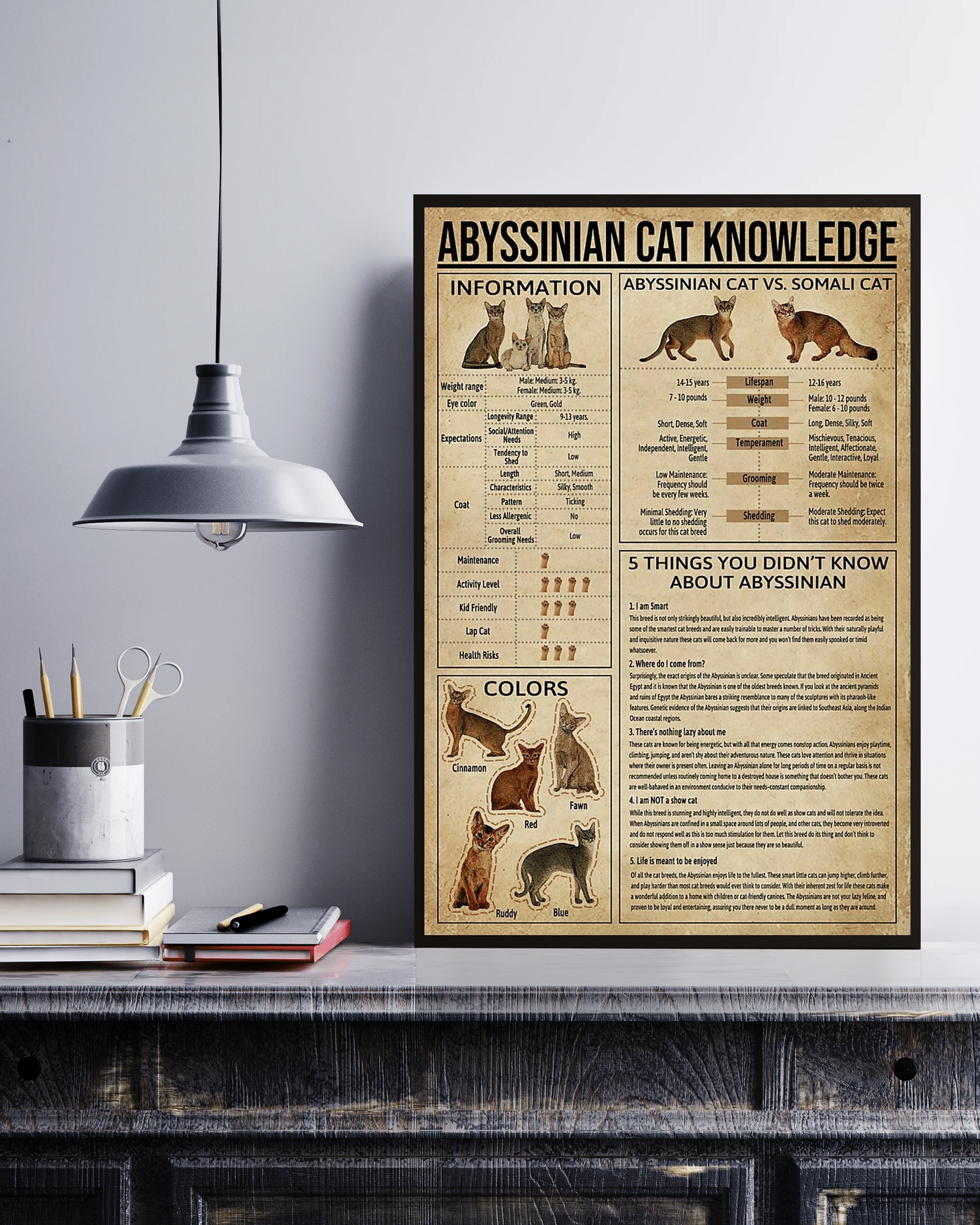 Abyssinian Cat Knowledge Canvas Poster Wall Art