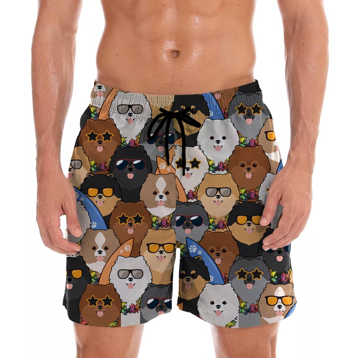 Aloha Hawaii Pomeranian Shorts Ha67375