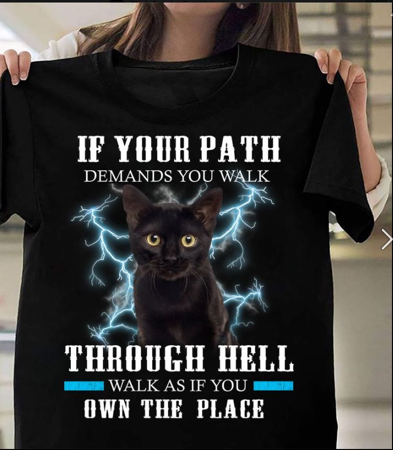 Black Cat If Your Path Demands You Walk Through Hell Walk As If You Own The Place Gift Standard/Premium T-Shirt